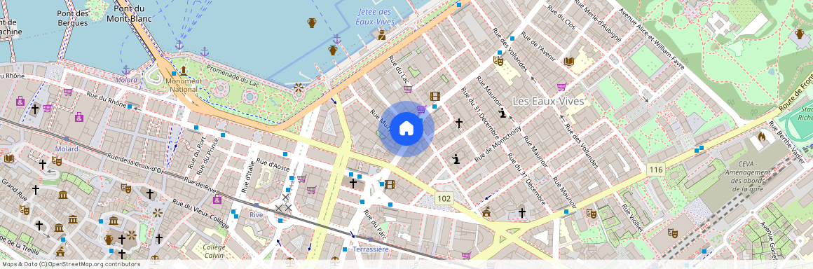 Rue Des Eaux-Vives 9, 1207 Geneva