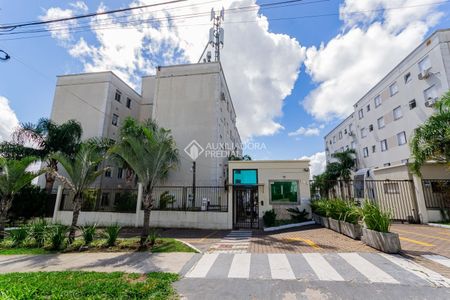 Apartamento com 2 quartos e 44m² para alugar em Jardim Leopoldina, Porto Alegre. - Photo 4