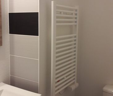Location Appartement 1 pièce 22m² ISLE 87170 - Photo 6