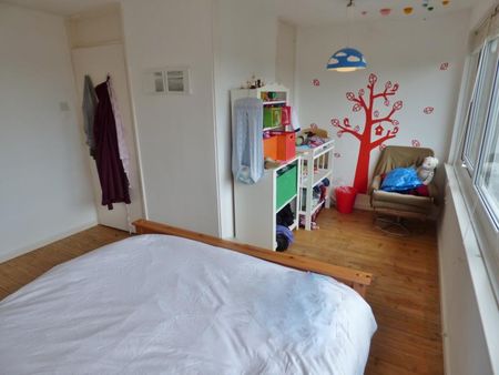 Oaks Avenue - Photo 4