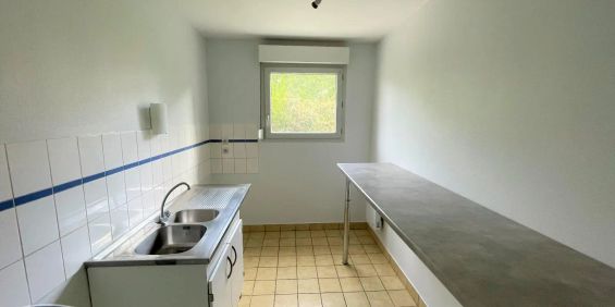 Appartement à louer 2 pièces 47.48m² - Photo 3