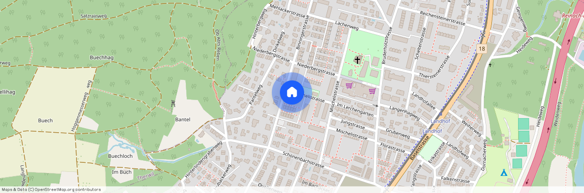 Binningerstrasse 42, 4153, Reinach Bl