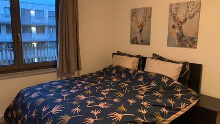 Te huur: Appartement Van Kinsbergenstraat 120 in Amsterdam - Foto 3