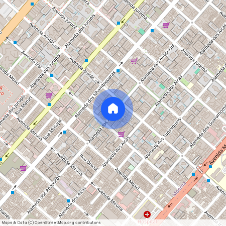 dos Anapurus, Moema, São Paulo