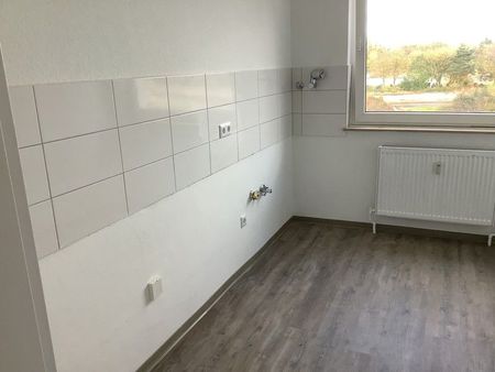 Da kommt man gern Heim. Frisch renovierte 3-Zimmer-Wohnung! - Foto 2