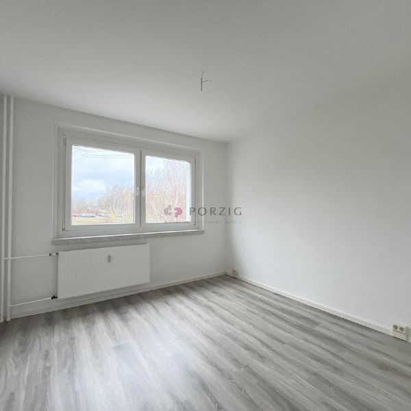 Große 2-Raum-Wohnung mit Südbalkon - Photo 1