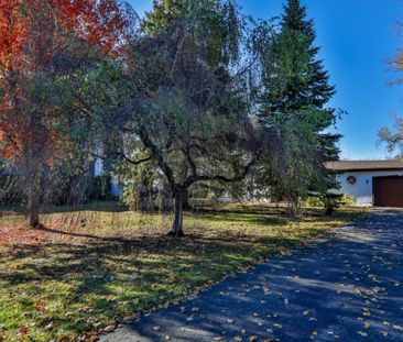 Maison à étages à louer - Saint-Eustache (Est) - Photo 5