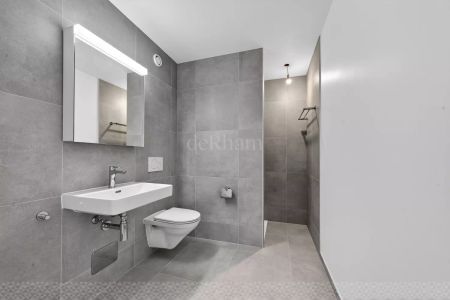 2.5 pièces neufs avec terrasse jardin et pièce annexe (atelier) - Foto 3