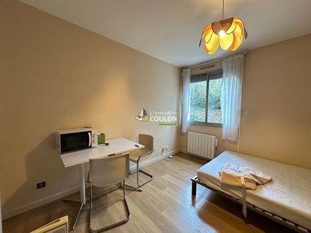 Appartement meublé - 1 pièce - Jardin Lecoq/Facultés - Photo 3