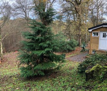 2 bedroom property to rent - Photo 4