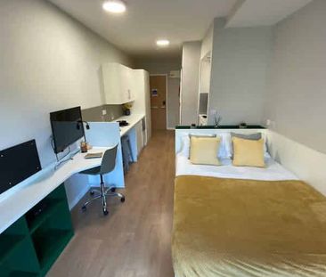 Studio Silver Plus - Photo 4