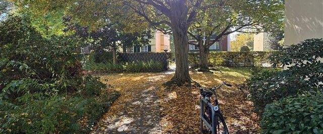 Wunderschöne, großzügig geschnittene 4-Zimmer-Wohnung mit Sonnenbalkon in Bremen-Schwachhausen - Foto 1