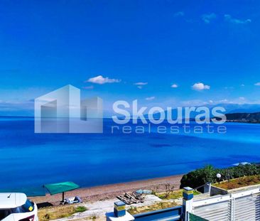 Βίλα για ενοικίαση Παραλία Αλισσού (Δυτικής Αχαΐας) - Photo 1