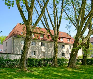 1-Zimmer-Wohnung in Gelsenkirchen Buer - Photo 4