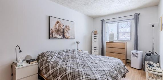 Appartement 4 ½ à louer Loretteville juillet 2026 - Photo 2