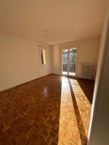 2.5 Zimmer, 52 m², 2. Stock - Photo 2