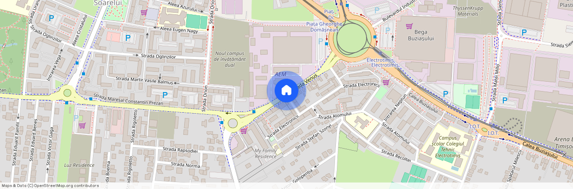 Timis, Timisoara