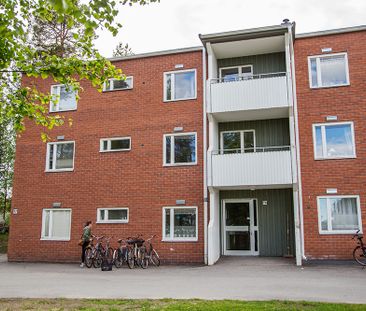 Ankarskatavägen 77 A, 94134, Piteå - Foto 5