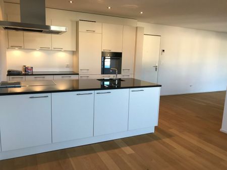 Moderne 2.5 Zimmer-Gartenwohnung in Zentrum - Photo 5