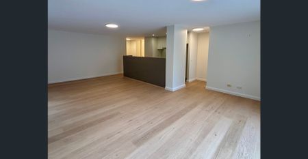 Oversized Apartment with Wraparound Terrace - Photo 3