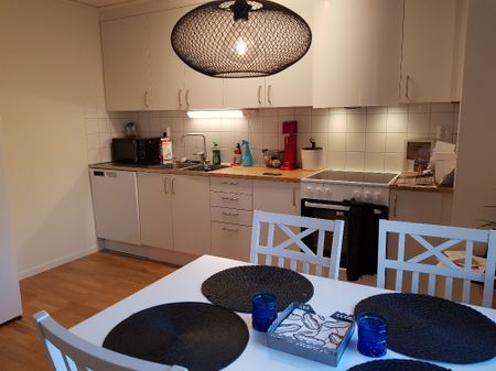 Landsvägen, Hälleviksstrand - Foto 2