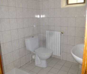 Location Appartement 2 pièces 50m² LE PUY EN VELAY 43000 - Photo 3