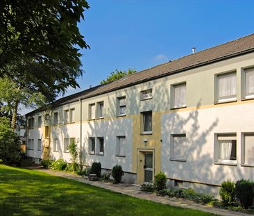 3-Zimmer-Wohnung in Essen Frohnhausen - Photo 5