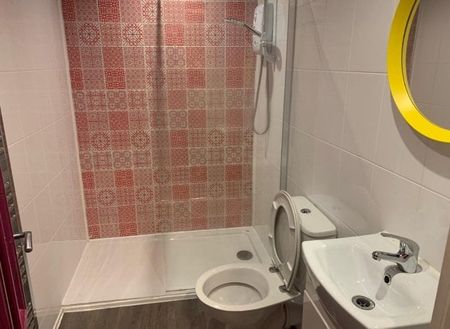 Cameron Street, L7 - Photo 5