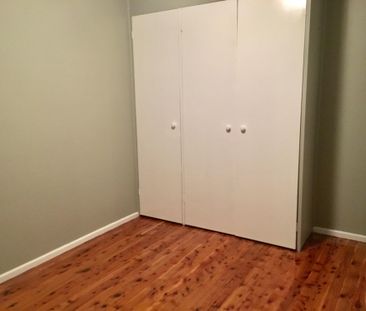 520 Mutsch Street, LAVINGTON NSW 2641 - Photo 4