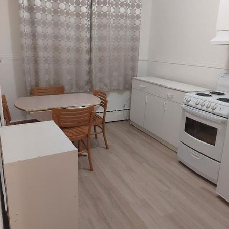 2 1/2 meublé St-Sauveur - Photo 3