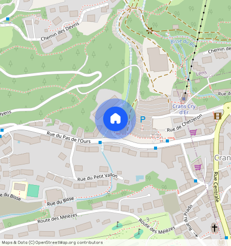 Télérésidence, Crans-Montana