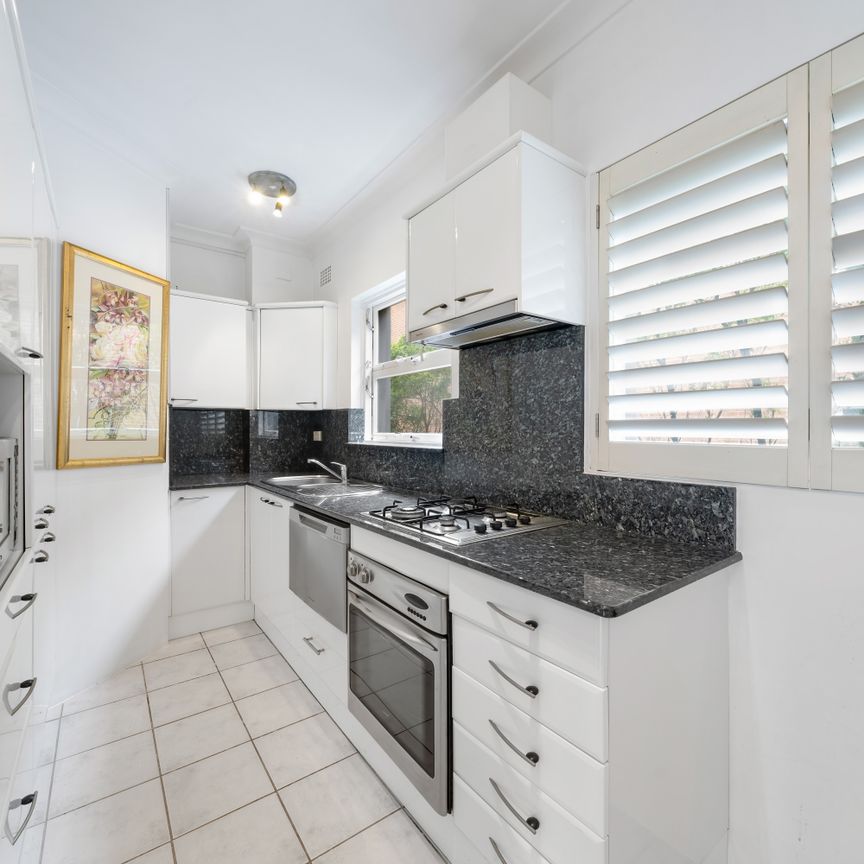 1/739 Old South Head Road, Vaucluse NSW 2030 - Apartment For Rent | Domain - Photo 1