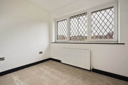 Pine Hall Drive - Photo 3