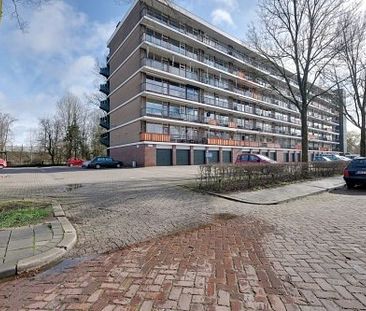 Matenalaan 0ong, 6825 DG Arnhem, Nederland - Foto 2