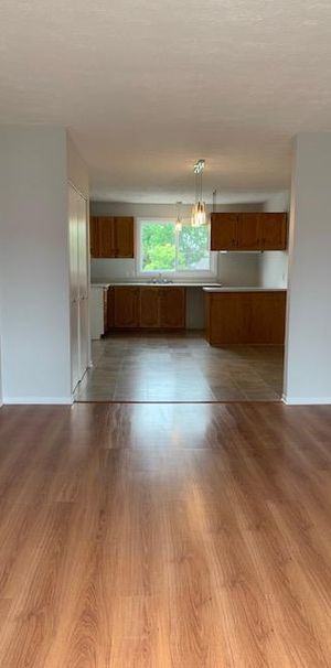 À LOUER –Appartement 4 1/2 près des Galeries de Granby - Photo 1