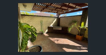 Warwick Wonder - Photo 2