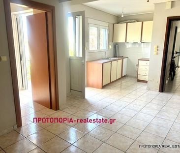 Διαμέρισμα για ενοικίαση Νέα Άμπλιανη (Λαμία) - Photo 3