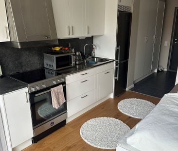 Östra Ringgatan, Alingsås - Photo 4