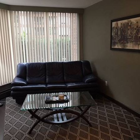 Bright, quiet 1 bdrm ground floor suite - Photo 3