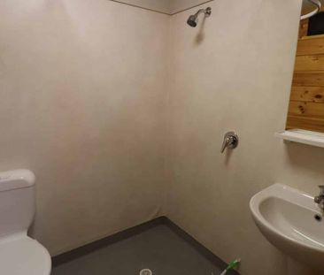 Studio Apartment in Te Aro - Photo 4