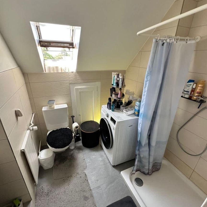 2.5 Zimmer, 52 m², 3. Stock - Foto 1