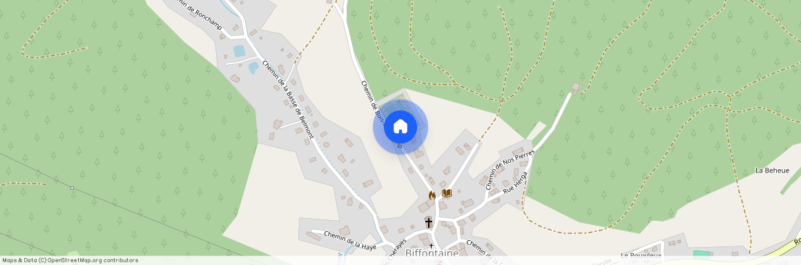 Vosges, 88, 88600, Bois De Champ