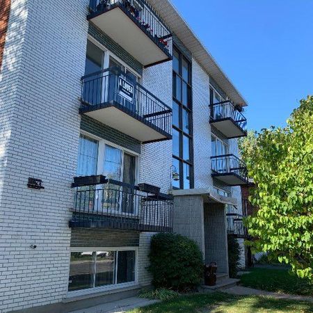 Grand 4 1/2 LeMoyne/Longueuil - Photo 3