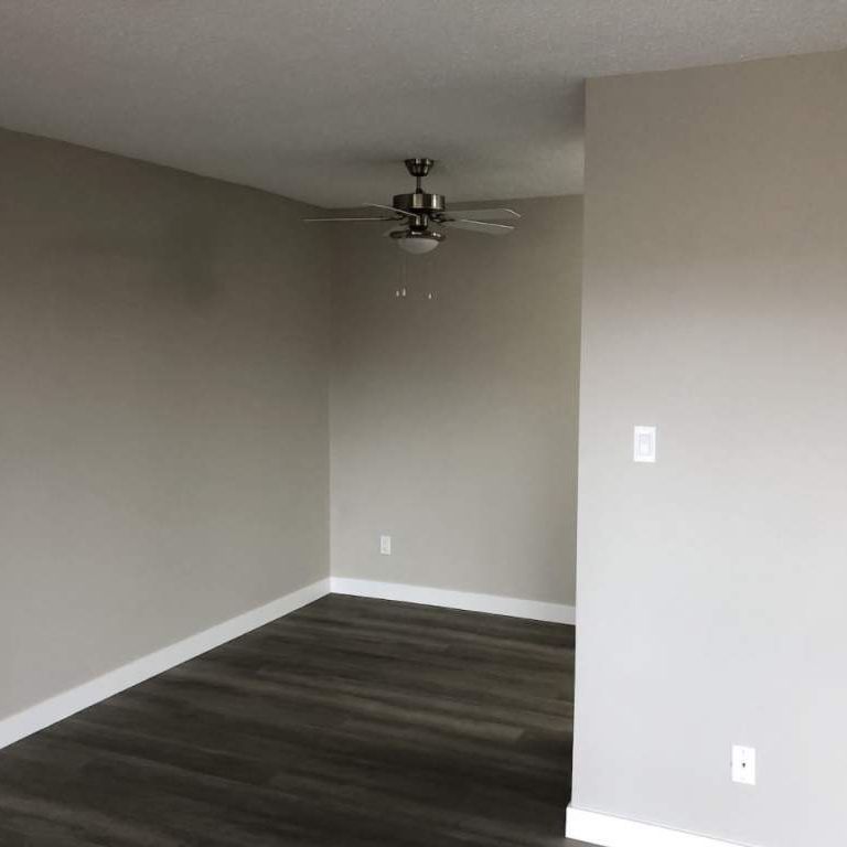 Renovated Suite - 1 Bedroom - Photo 1
