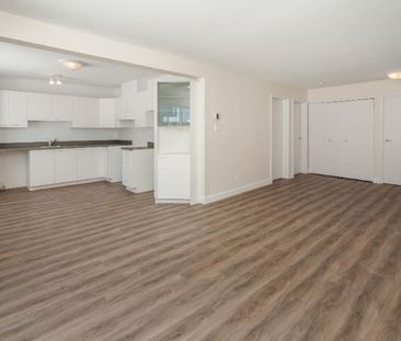 Appartement 4 ½ à louer Sainte-Foy / Sillery juillet 2026 - Photo 1