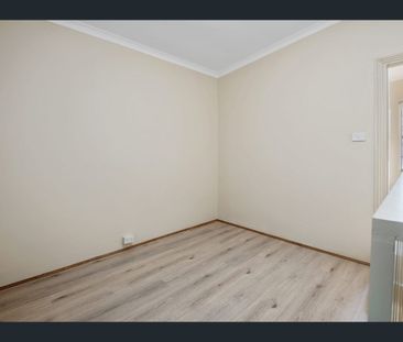11 Rose Terrace, Paddington, NSW 2021 - Photo 2