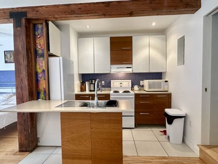 Superbe et grand studio face au Parc Lafontaine, équipé avec tous les services inclus. - Photo 3