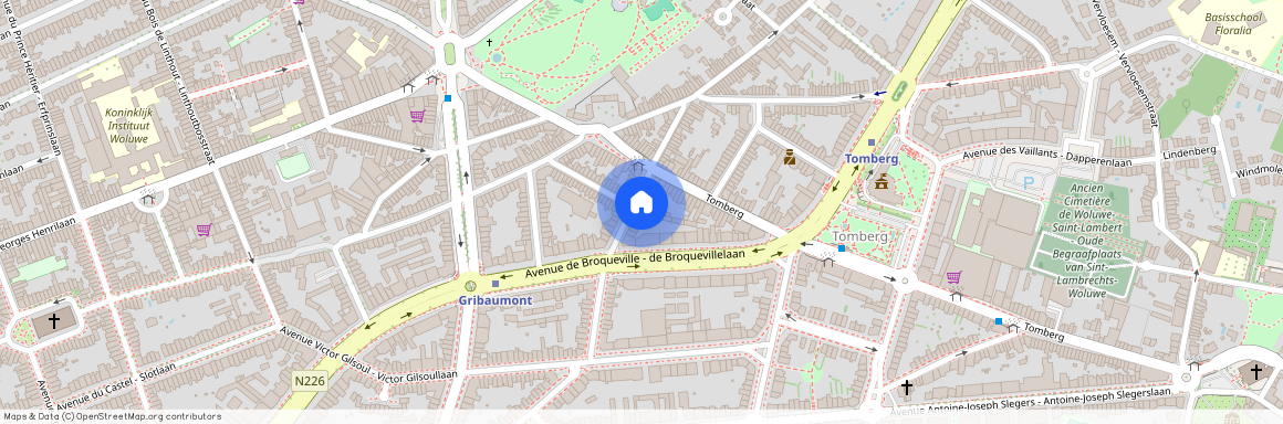 Avenue Constant Montald 1 Boîte 3 - 1200 Woluwe-Saint-Lambert