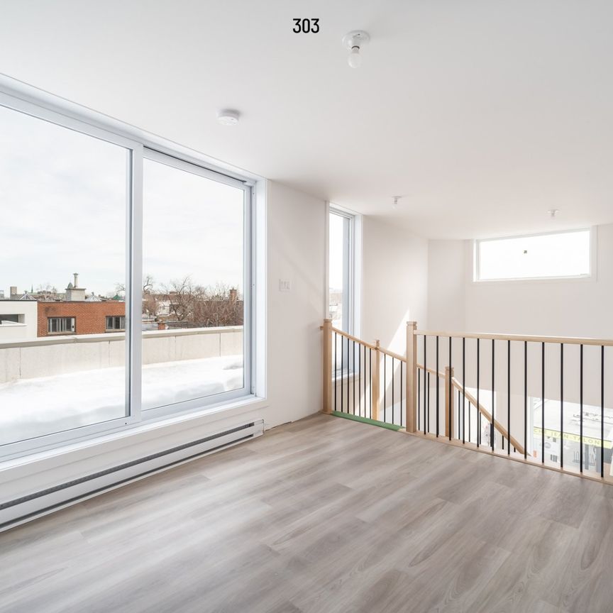 Condo for rent, Montréal (Rosemont/La Petite-Patrie) - Photo 1