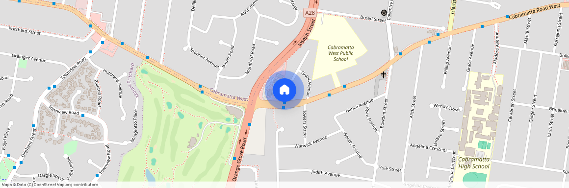 395 Cabramatta Road West, NSW 2166